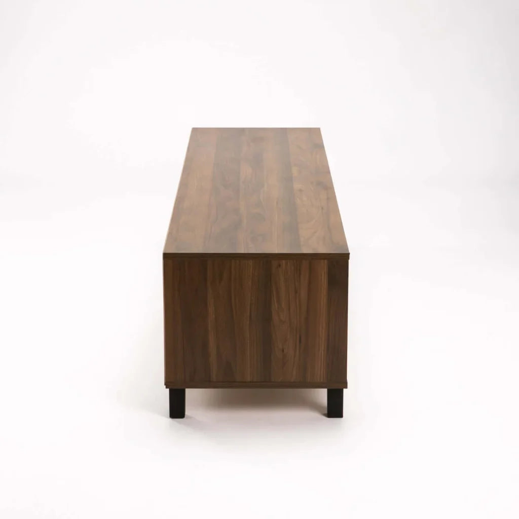 ALLY 2 DOOR TV UNIT