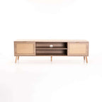 DEWI 2 DOOR TV UNIT