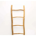 DISPLAY LADDER 150cm SOLID WOOD