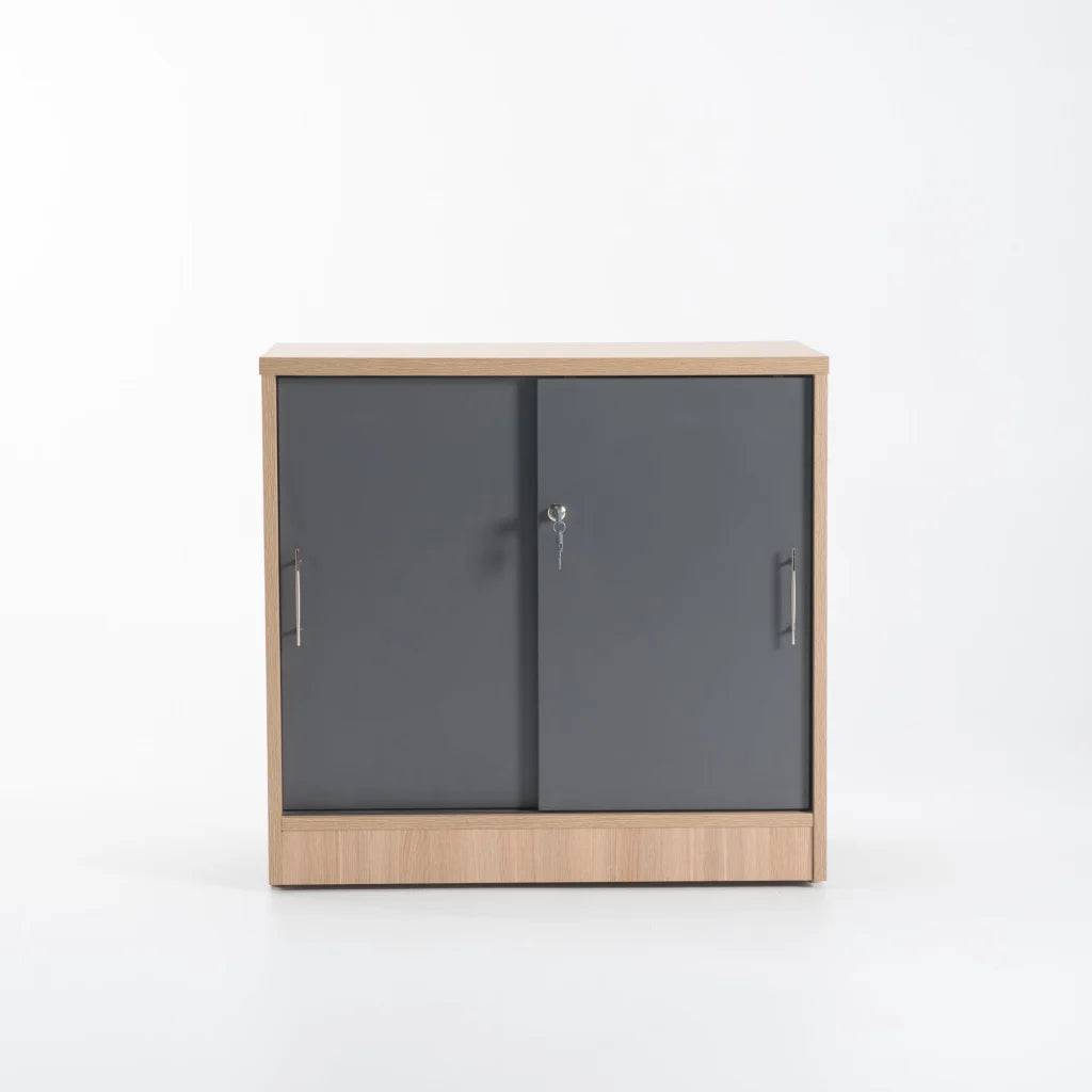 LOGO 2 DOOR CABINET