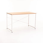 OMEGA 120cm DESK