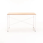OMEGA 120cm DESK
