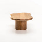RUMI 130x70cm SOLID WOOD COFFEE TABLE