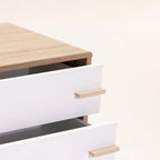 ZETA 2 DRAWER PEDESTAL